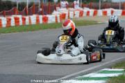 _DSC4706 copie